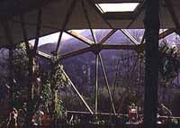 greenhouse